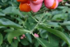 IMG-20230929-WA0000